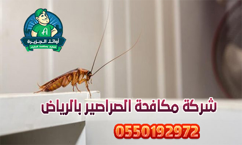 شركة مكافحة الصراصير بالرياض شركة اوائل الجزيرة الأفضل في السعودية 0550192972